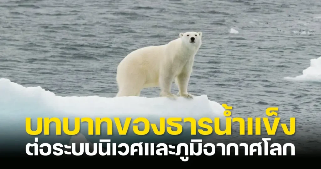 ธารน้ำแข็ง